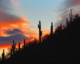Full Moon Over Apache Junction, Arizona Metal Print