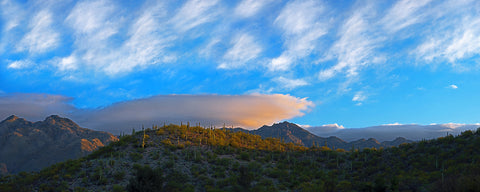 Tucson Sunrise Landscape, Arizona Panoramic Metal Print