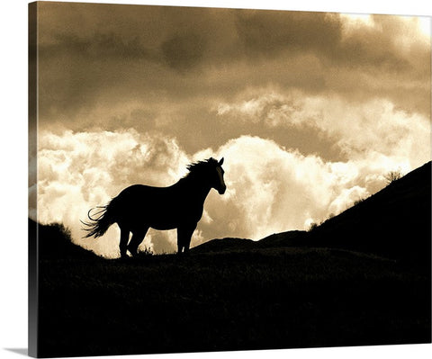 Cloud, Wild Stallion of Montana Canvas