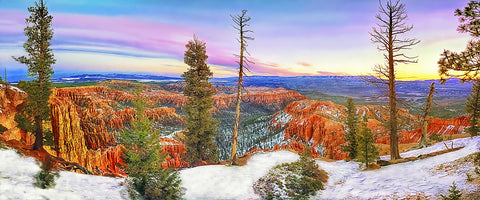 Bryce Canyon National Park, Utah Panoramic Metal Print