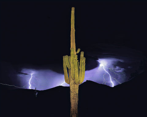 Arizona Monsoon, Sonoran Desert Metal Print