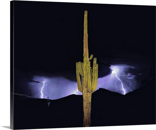 Arizona Monsoon, Sonoran Desert Canvas