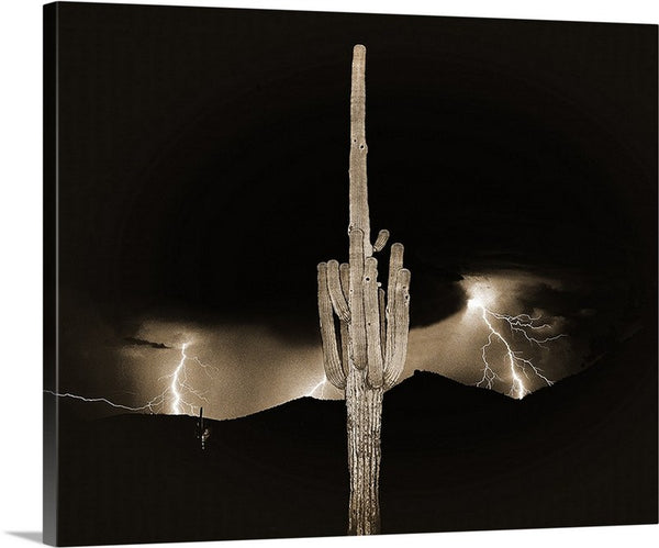 Arizona Monsoon Sepia, Sonoran Desert Canvas