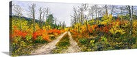 Autumn Road, Eastern Sierras, California Panoramic Canvas