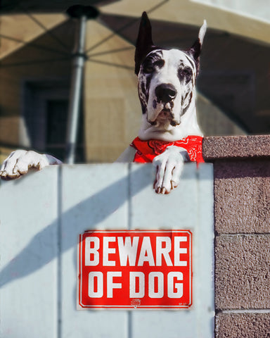 Beware of Dog!! Standard Art Print