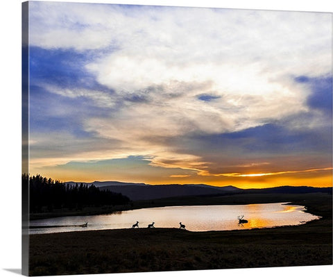 Crescent Lake Elk Canvas