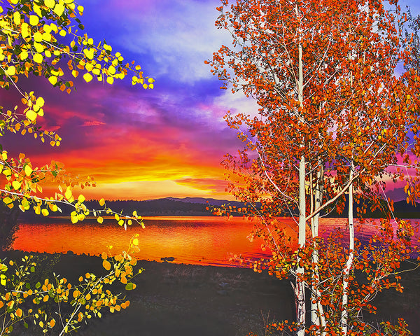 Big Lake Autumn, White Mountains, Arizona Metal Print