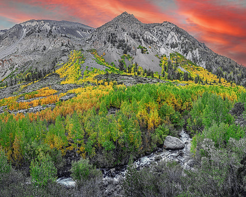 Bishop Creek Autumn, Eastern Sierras, California