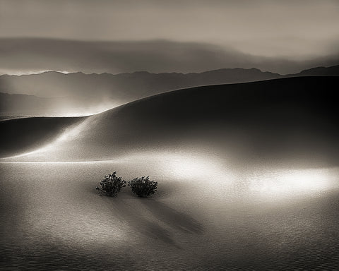 Blowing Sand, Death Valley National Park, California Metal Print