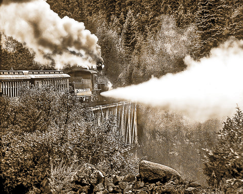 Blowing Steam,Durango-Silverton Railroad, Colorado Standard Art Print