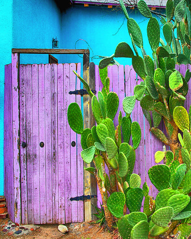 Blue and Purple Door, Tucson, Arizona