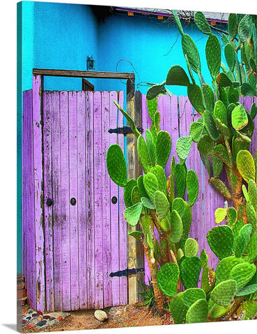 Blue and Purple Door Canvas