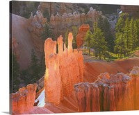 Bryce Canyon Spires Canvas
