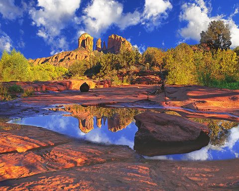 Cathedral Rock, Sedona, Arizona Standard Art Print