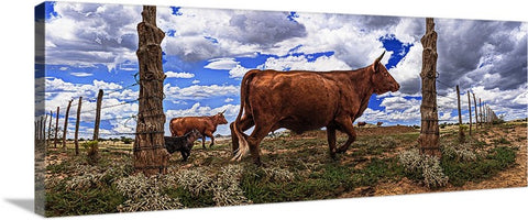 Cattle Fence Chino Valley, Arizona Panoramic Canvas