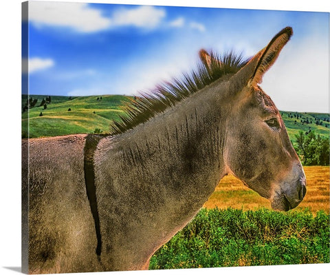 Donkey Standing Tall Canvas