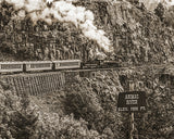 Durango-Silverton Railroad, Animas River, Colorado Metal Print