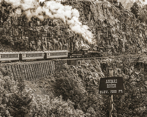 Durango-Silverton Railroad, Animas River, Colorado Standard Art Print