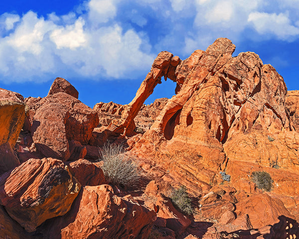 Elephant Rock, Valley of Fire State Park, Nevada Standard Art Print