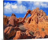 Elephant Rock, Valley of Fire State Park, Nevada Canvas