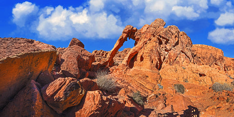 Elephant Rock, Valley of Fire State Park, Nevada Panoramic