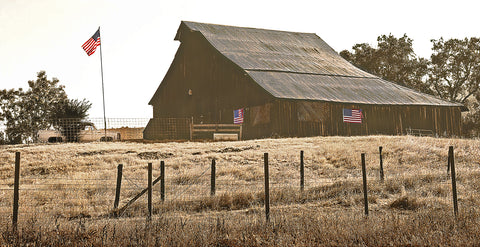 Flag Barn Panoramic Metal Print