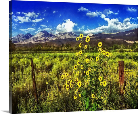Flowers in the Valley Canvas