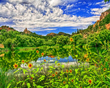 Granite Lake Sunflowers, Prescott, Arizona Metal Print