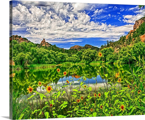 Granite Lake Sunflowers, Prescott, Arizona Canvas