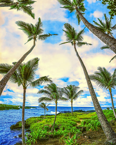 Tropical Paradise, Maui, Hawaii