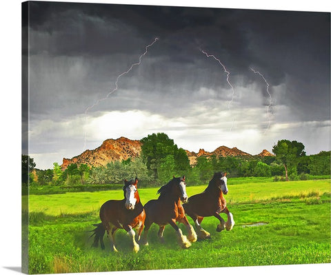 Horse Lightning Canvas