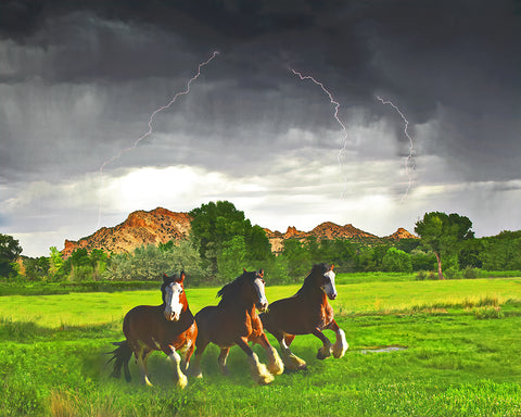 Horse Lightning Standard Art Print