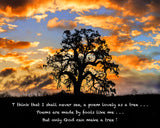 But Only God Can Make a Tree Metal Print