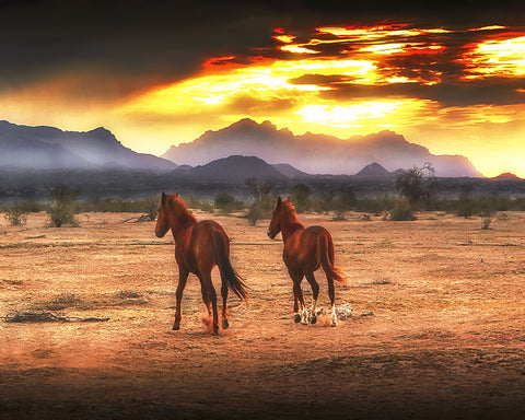 Indian Ponies, Superstition Mountains, Arizona Metal Print