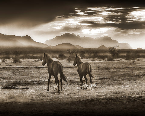 Indian Ponies Sepia, Superstition Mountains, Arizona Metal Print
