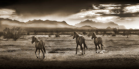 Indian Ponies Sepia Panoramic, Superstition Mountains, Arizona