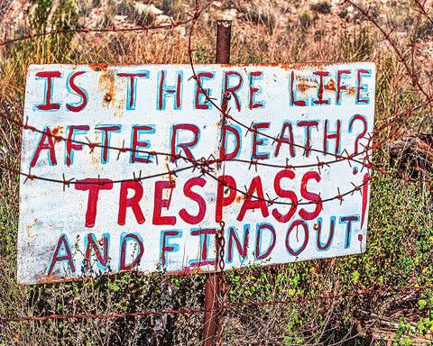 Is There Life After Death? Trespass and Find Out!