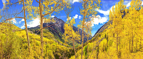 Mountains of Gold, Rocky Mountains Panoramic Metal Print