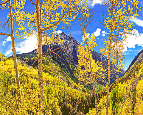 Mountains of Gold, Rocky Mountains Standard Art Print