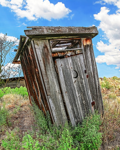 Leanin' Outhouse Standard Art Print