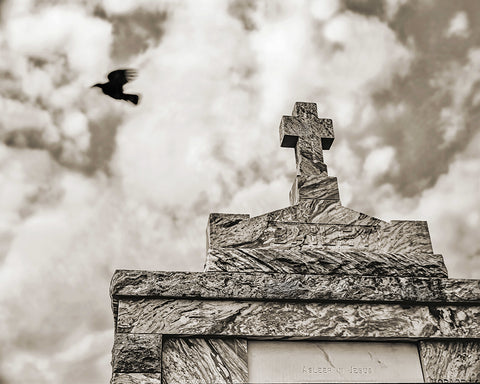 Cross and Crow, New Orleans, Louisiana