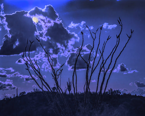 Sonoran Desert Moonscape, Arizona