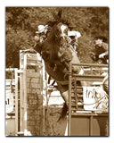 Out of the Chute Metal Print