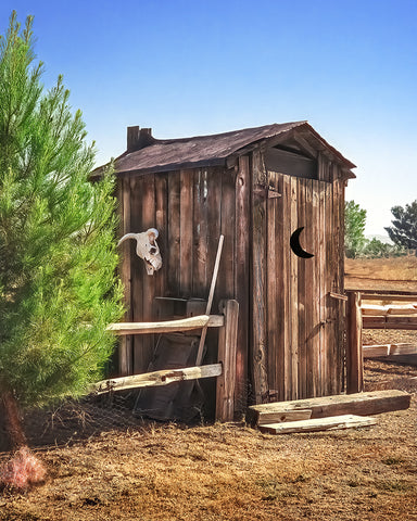 Outback Outhouse Standard Art Print