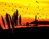 Pigeon Point Lighthouse Sunset Metal Print