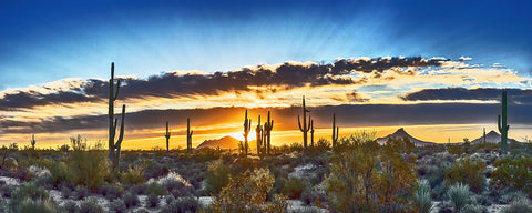 Saguaro Sunrise, Arizona Panoramic Metal Print