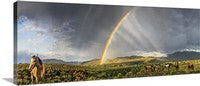 Rainbow Horses, Wild Horses, Nevada Panoramic Canvas