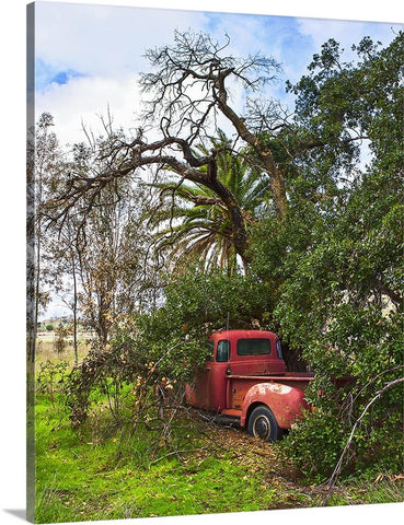 Red Chevy Under the Trees Canvas