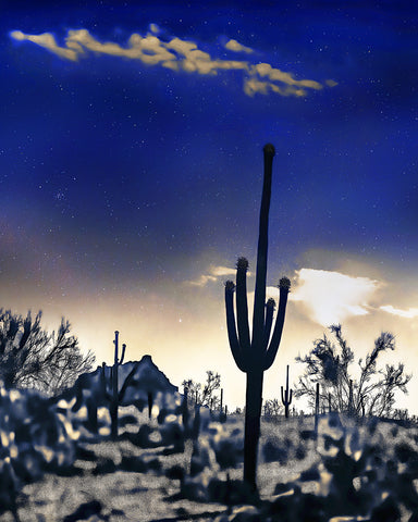 Red Mountain, 3am, Saguaros Vertical, Fountain Hills, Arizona