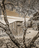 Relief in Sight Sepia Metal Print